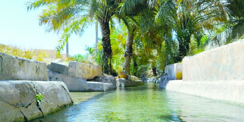 The University of Nizwa conducted studies and research projects that identified common difficulties faced by aflaj in Oman 
