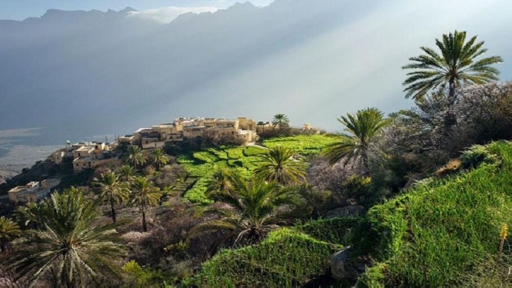 According to reports, the year 2023 was the hottest on record, with global average temperatures at 1.46C