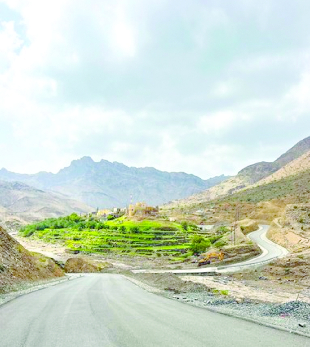 Rains put a green crown on Al Batinah North