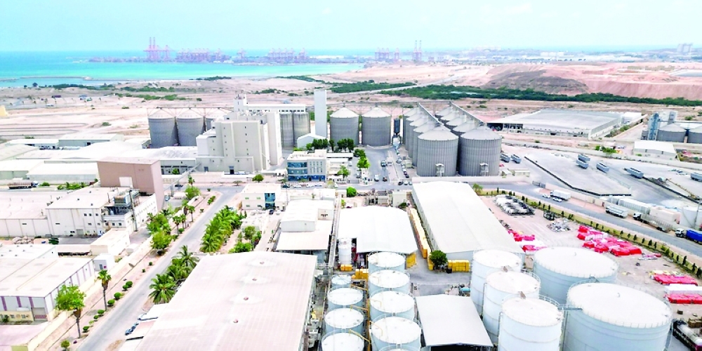 Raysut Industrial City has been contributing to advancing industrial development in Dhofar Governorate for more than 30 years.