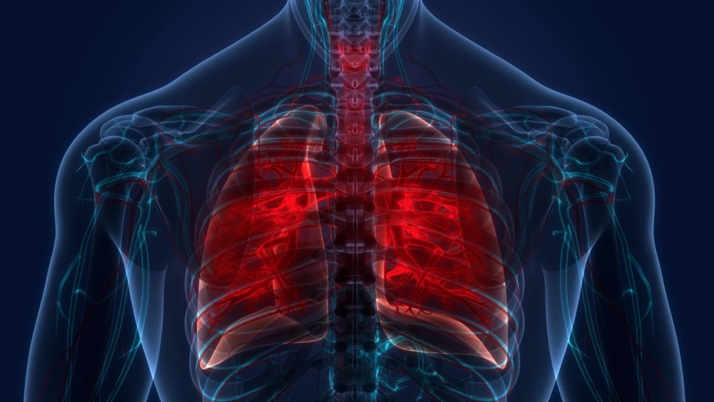 The Sultanate of Oman reported 369 cases of tuberculosis in 2022, including 101 Omanis 