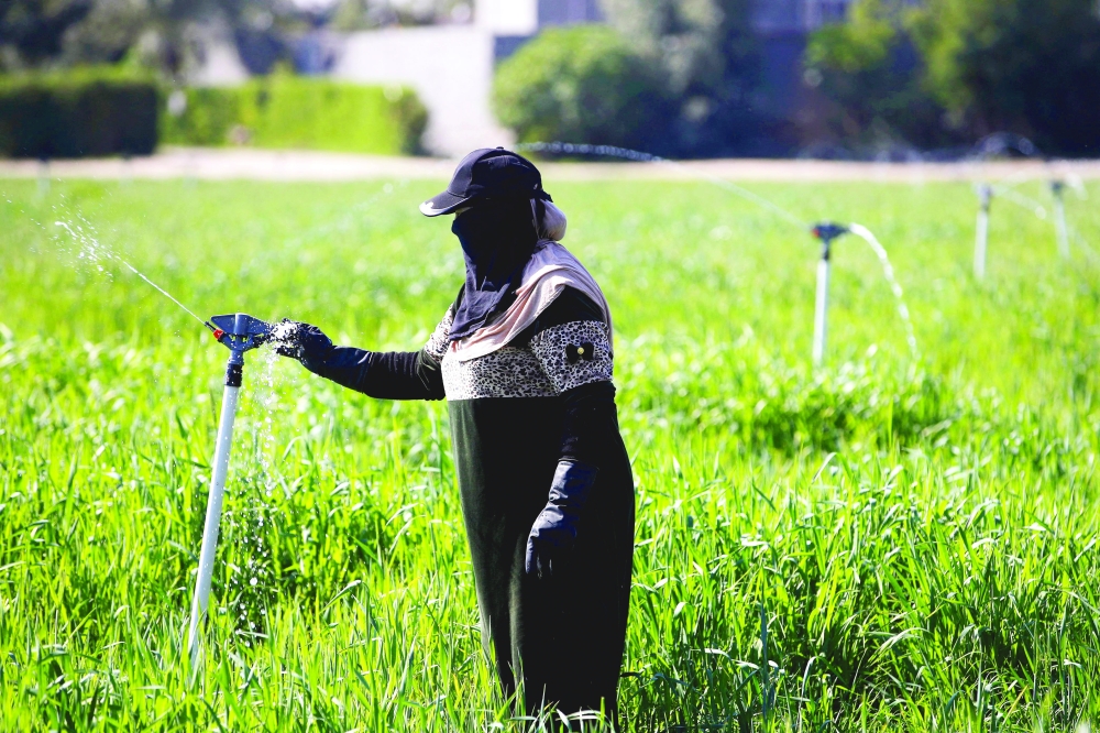 A farmer adjusts a sprinkler, part of a new water management systems brought by the UN World Food Programme, on a farm in the village of al-Azrakiya, in Iraq's central province of Anbar, on February 22, 2024. Hundreds of Iraqi farmers benefited from new water management systems brought by the WFP. It uses automated sprinklers and drip irrigation to ensure scarce water is used in the most efficient way and not lost as run-off or evaporated under the blazing sun.