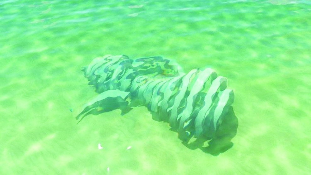 3D printed artificial coral reefs revolutionising marine conservation efforts in Oman
