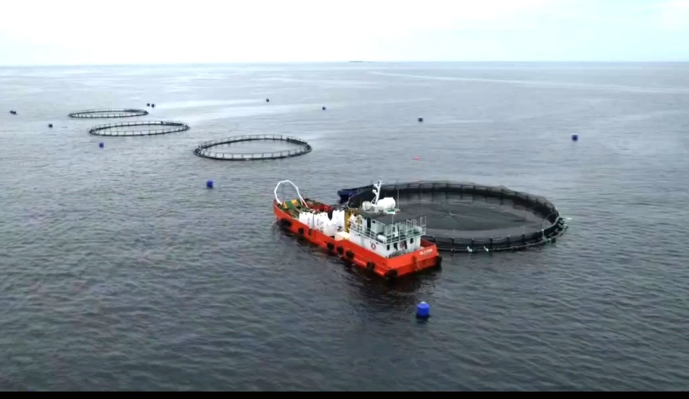 The aquaculture project in Musandam promises to offer a holistic approach to fish production.