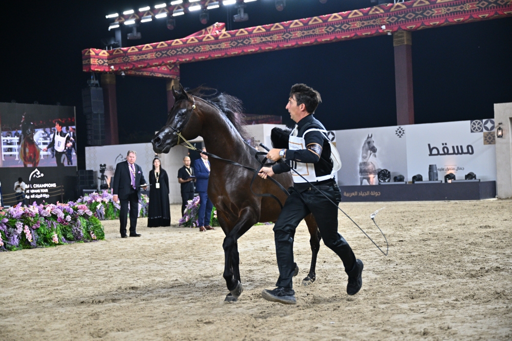 ختام بطولة جمال الخيل (4)