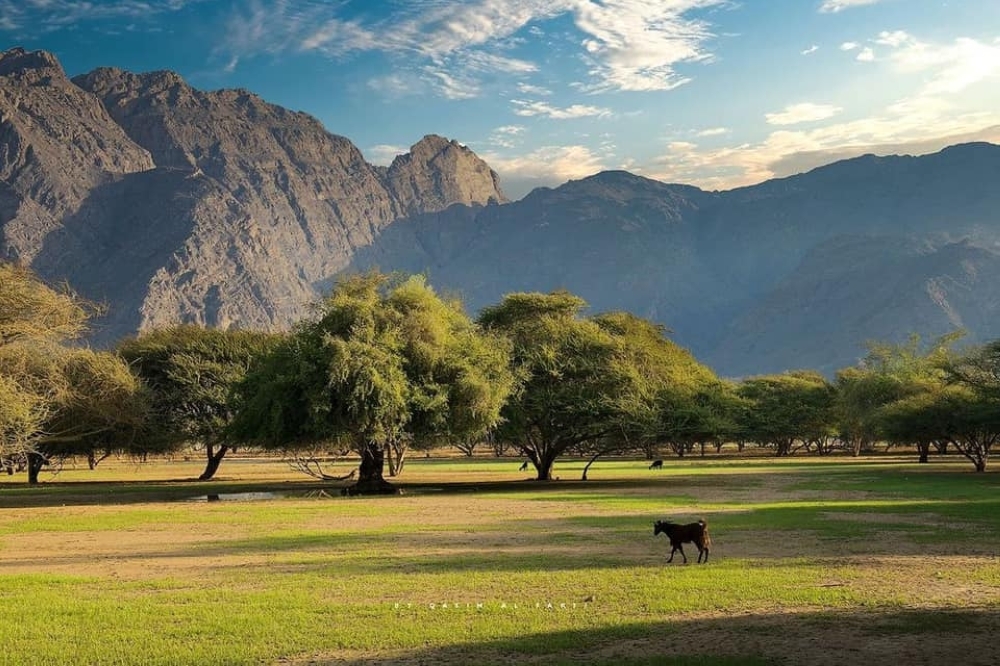 During the spring and fall seasons, the area bustles with life again with the various types of birds that come to it.