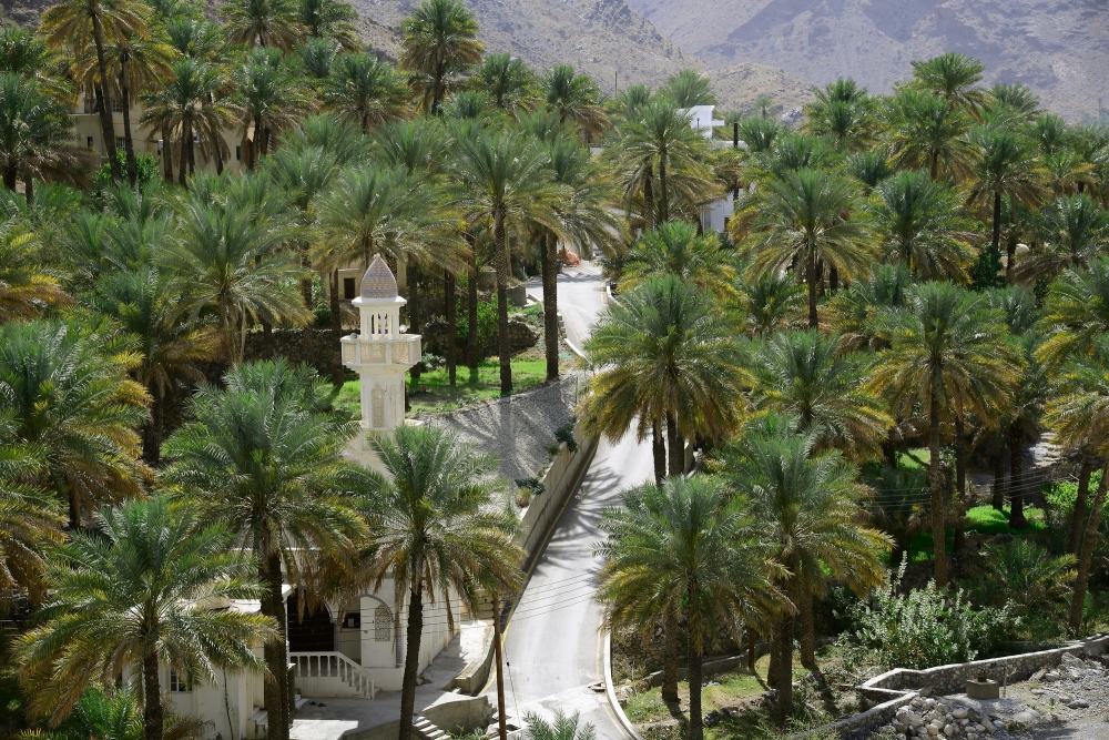 The towering mountains on both sides of the valley are made of limestone formations. 