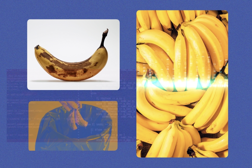 Artificial intelligence is peering into restaurant garbage pails and crunching grocery-store data to try to figure out how to send less uneaten food into dumpsters. (The New York Times)