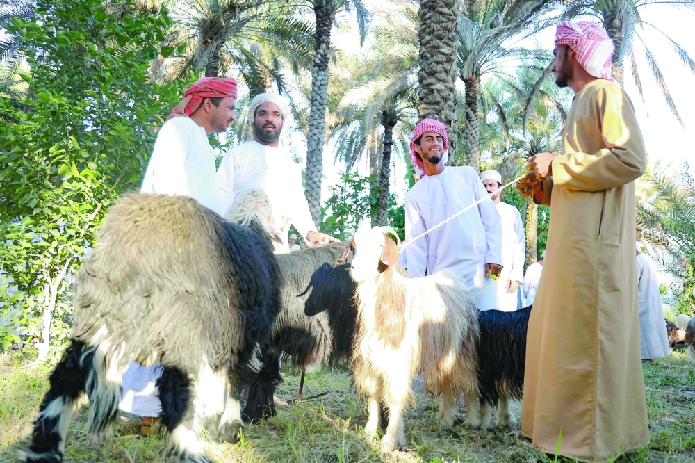 Vendors display livestock for sale at a market in Sarur in the Wilayat of Samayil on Saturday.
