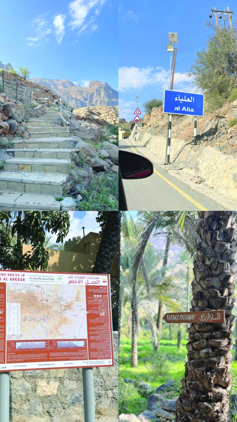 Get enchanted by nature in beautiful Al Alia Village