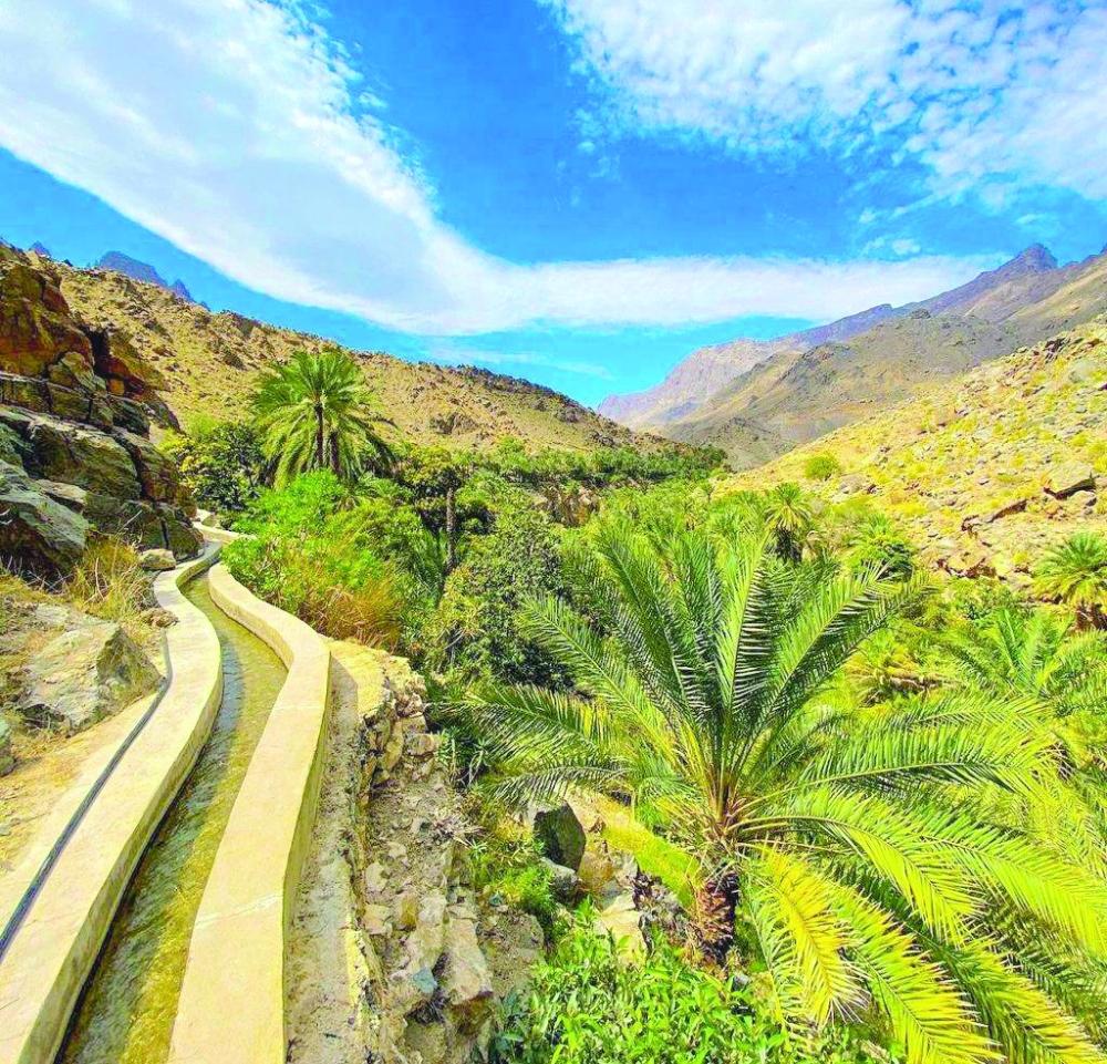 Get enchanted by nature in beautiful Al Alia Village