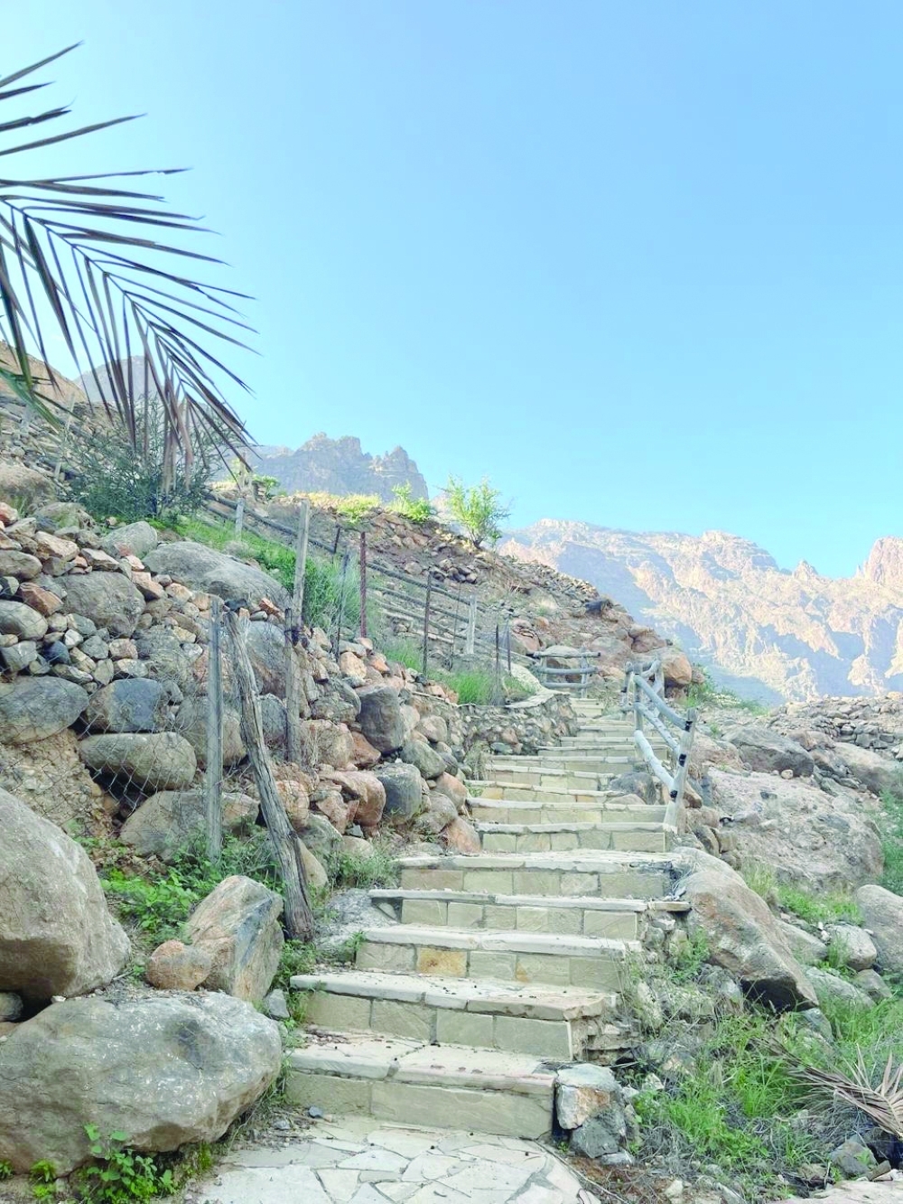 Get enchanted by nature in beautiful Al Alia Village