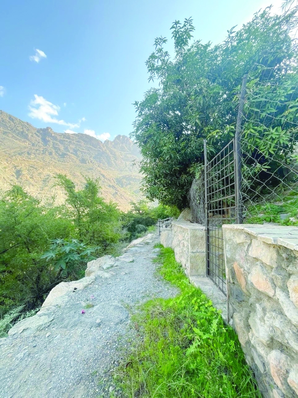 Get enchanted by nature in beautiful Al Alia Village