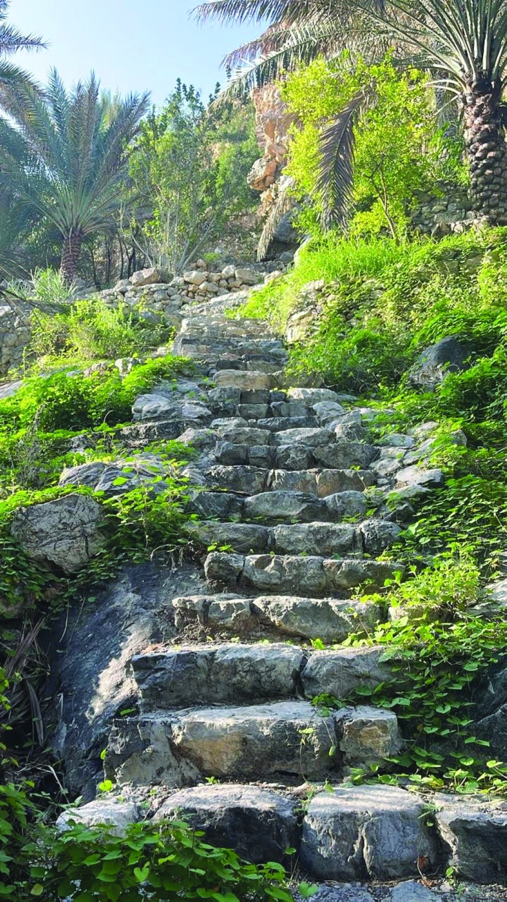 Get enchanted by nature in beautiful Al Alia Village