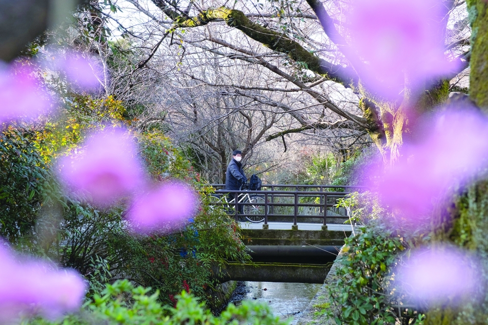 A cyclist on the Philosophers Walk in Kyoto, Japan, in February 2024. 