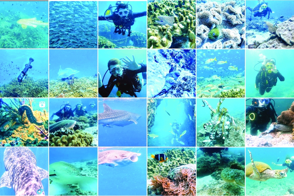 Exploring The Underwater Beauty of Oman