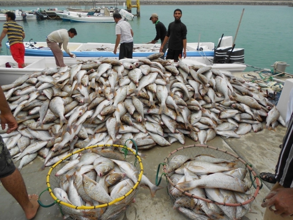  Around 25 tonnes of illegally caught fish were seized by authorities in 2023.