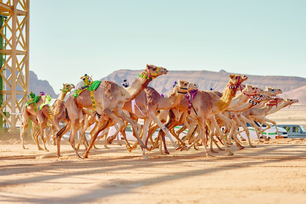 Oman to take part in the AlUla camel race