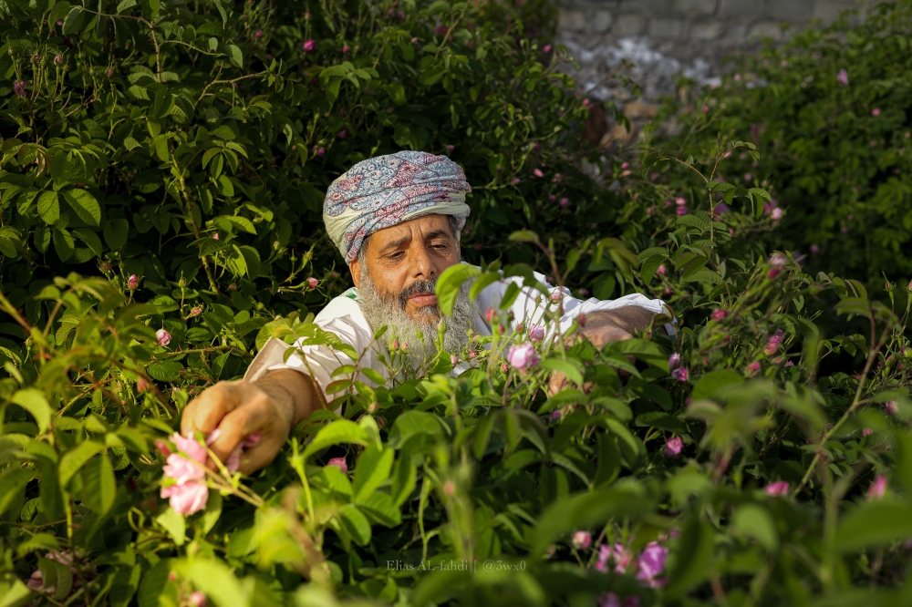 image_123650291 (10)