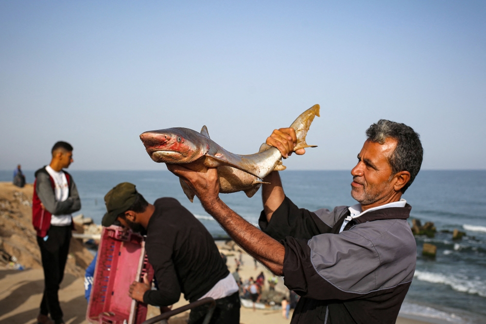 A Palestinian fisherman displays his catch at the beach in Rafah on Tuesday. — AFP