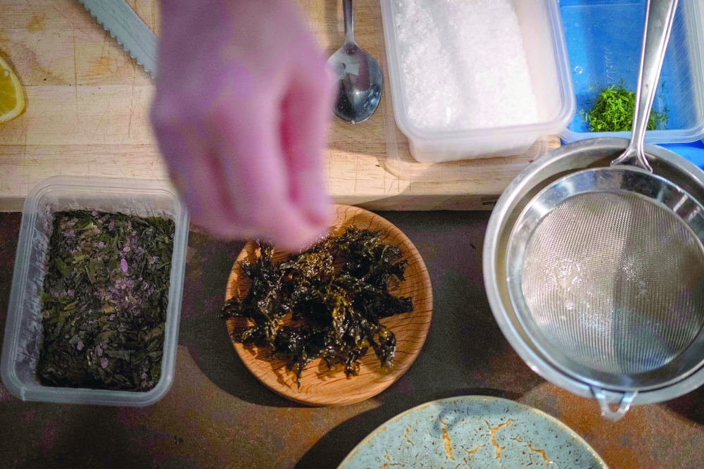 Norway women bring seaweed to culinary heights in Europe