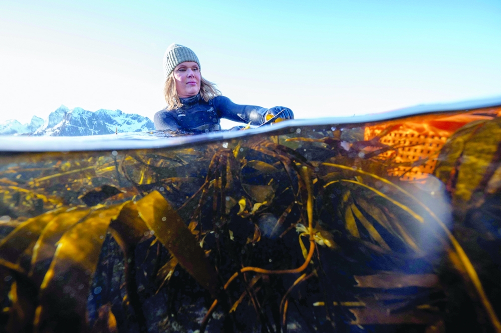 Norway women bring seaweed to culinary heights in Europe