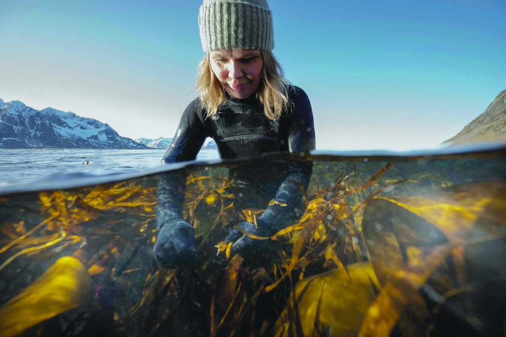 Norway women bring seaweed to culinary heights in Europe