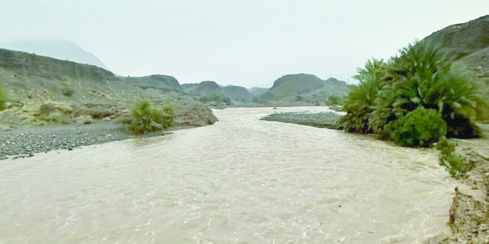 A number of wilayats of the South Al Batinah Governorate on Sunday witnessed rains that ranged between heavy and moderate. - ONA