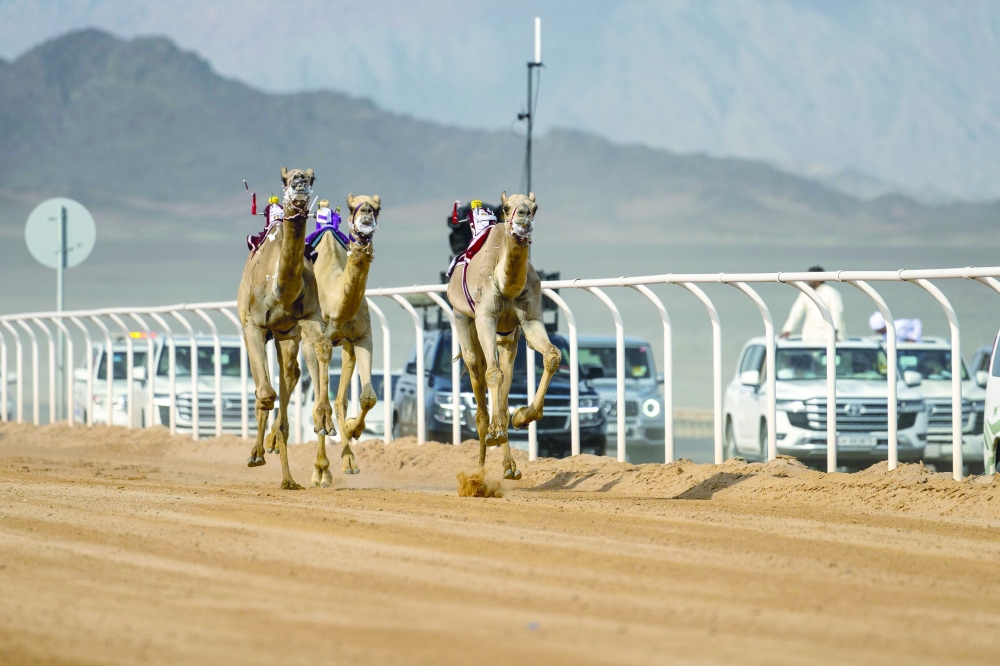 Oman rank fourth in AlUla Camel Cup 2024