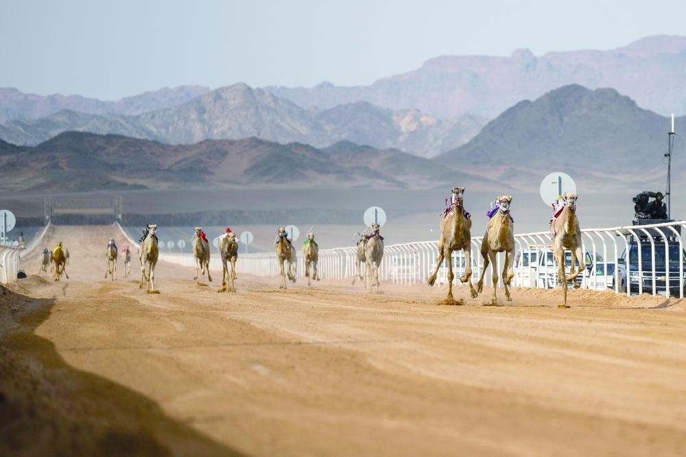 Oman rank fourth in AlUla Camel Cup 2024
