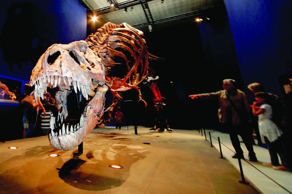Visitors look at a 67 million year-old skeleton of a Tyrannosaurus rex, named Trix, at the French National Museum of Natural History in Paris, France.