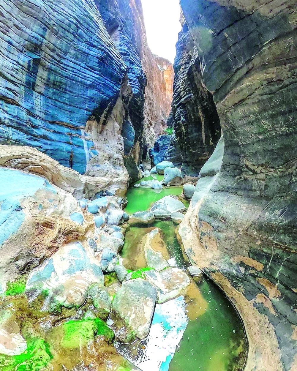Snake Canyon: Plunging in an adventure through nature's serpentine beauty
