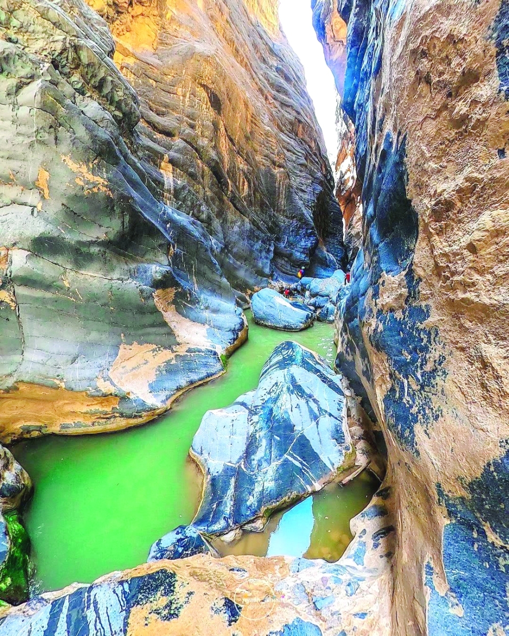 Snake Canyon: Plunging in an adventure through nature's serpentine beauty