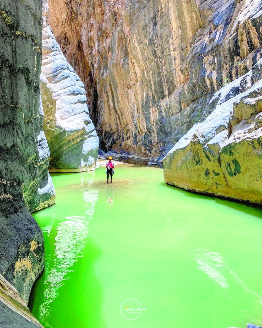 Snake Canyon: Plunging in an adventure through nature's serpentine beauty