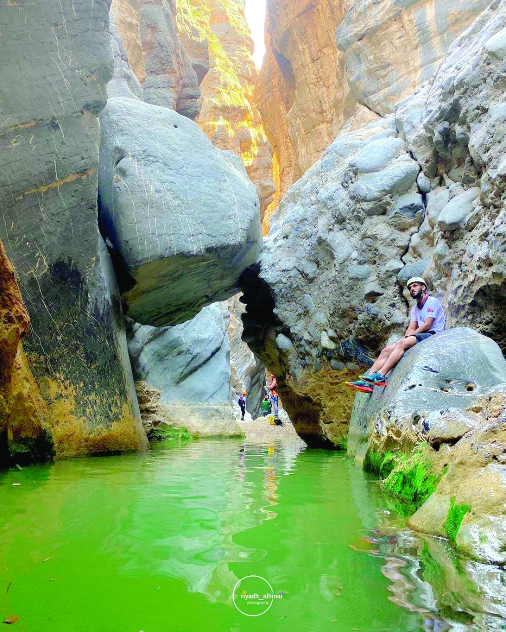 Snake Canyon: Plunging in an adventure through nature's serpentine beauty