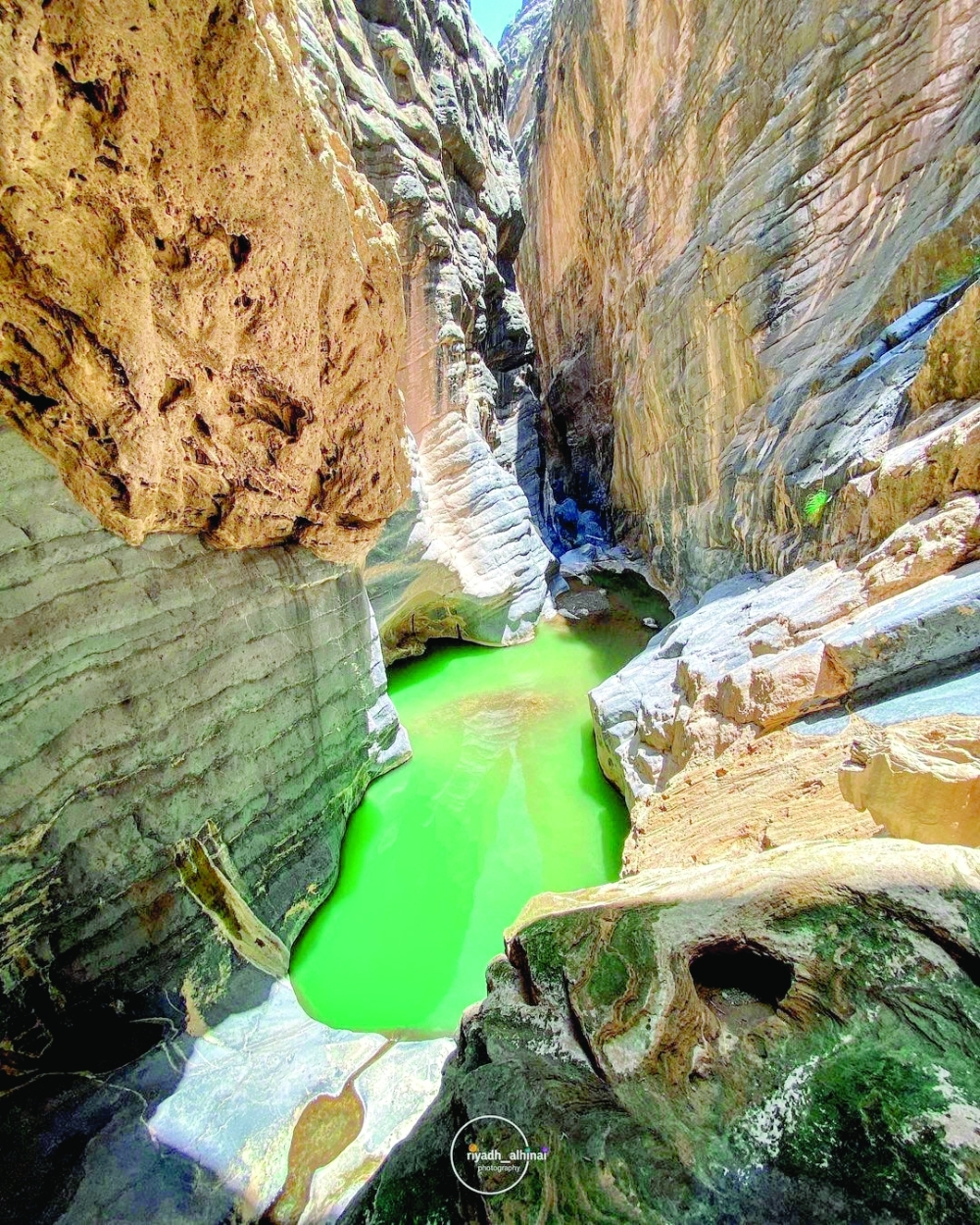 Snake Canyon: Plunging in an adventure through nature's serpentine beauty