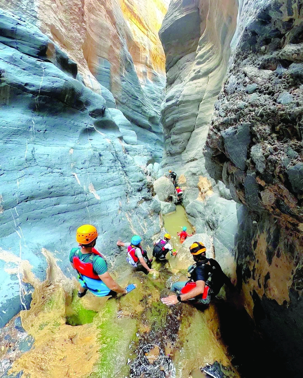 Snake Canyon: Plunging in an adventure through nature's serpentine beauty