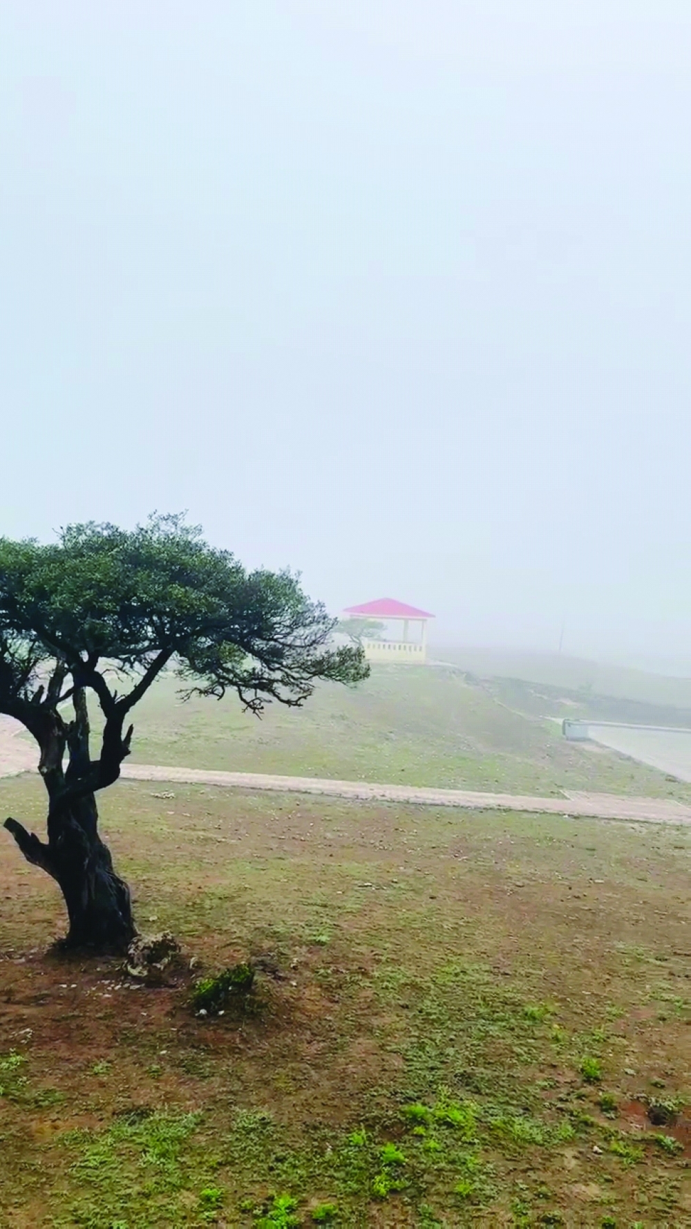 Dhofar wears blanket of mist