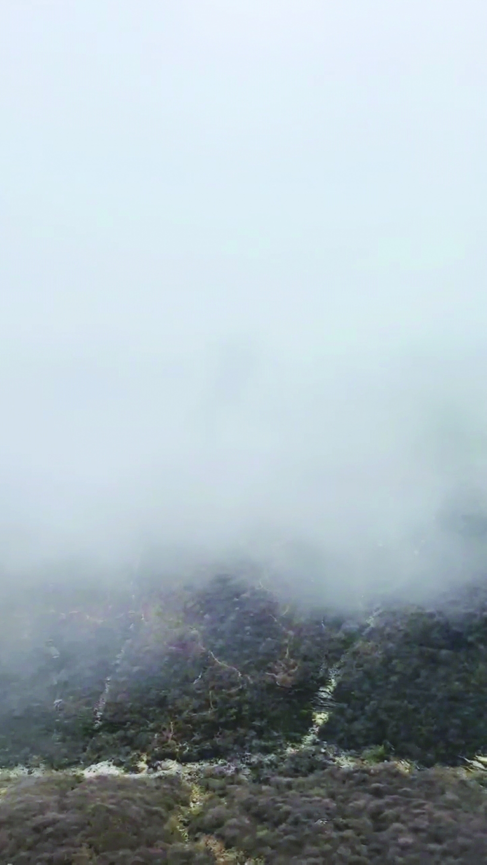 Dhofar wears blanket of mist