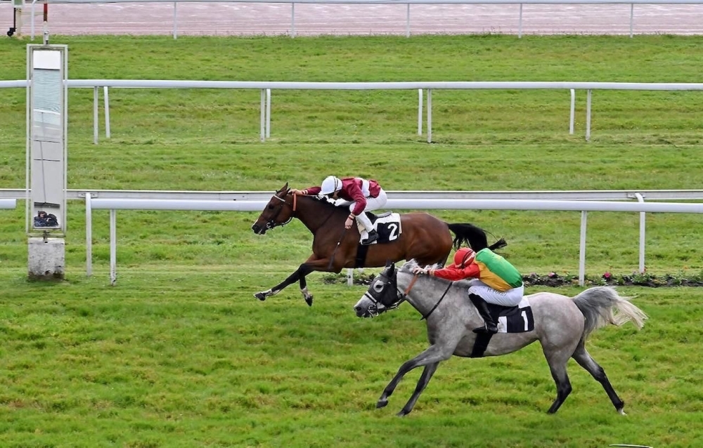 'Fotina' achieves second place in French