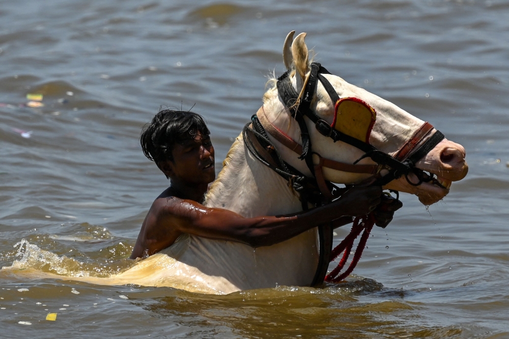 A man controls his horse as they take a dip in sea on a hot summer day in Mumbai on Wednesday. — AFP