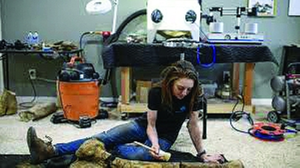 US restorationist solves 60-million-year-old dinosaur fossil 'puzzles'
