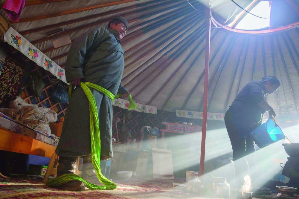 Mongolia's wildlife at risk from overgrazing