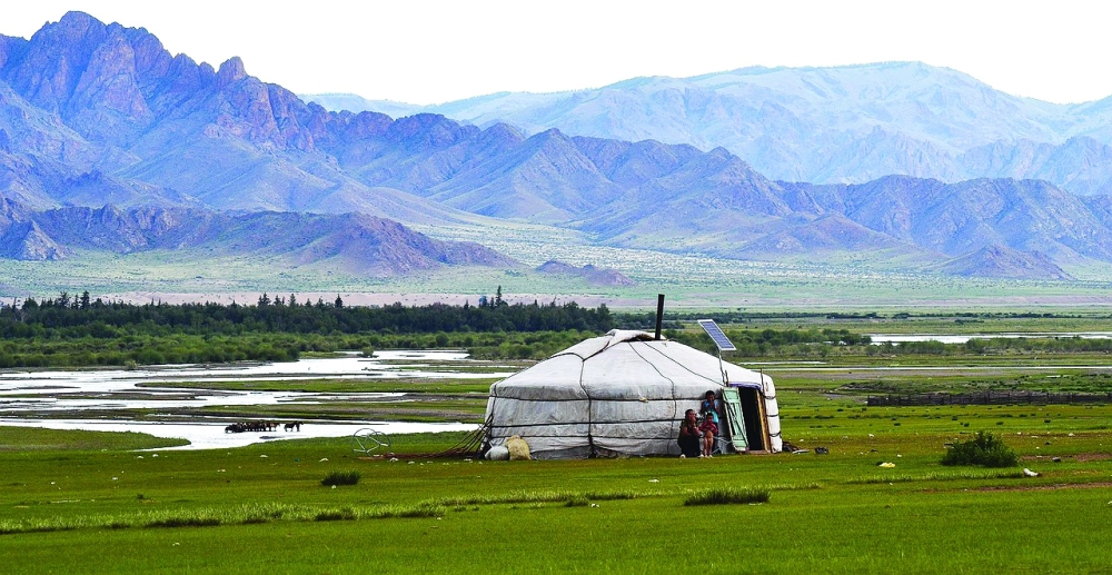 Mongolia's wildlife at risk from overgrazing