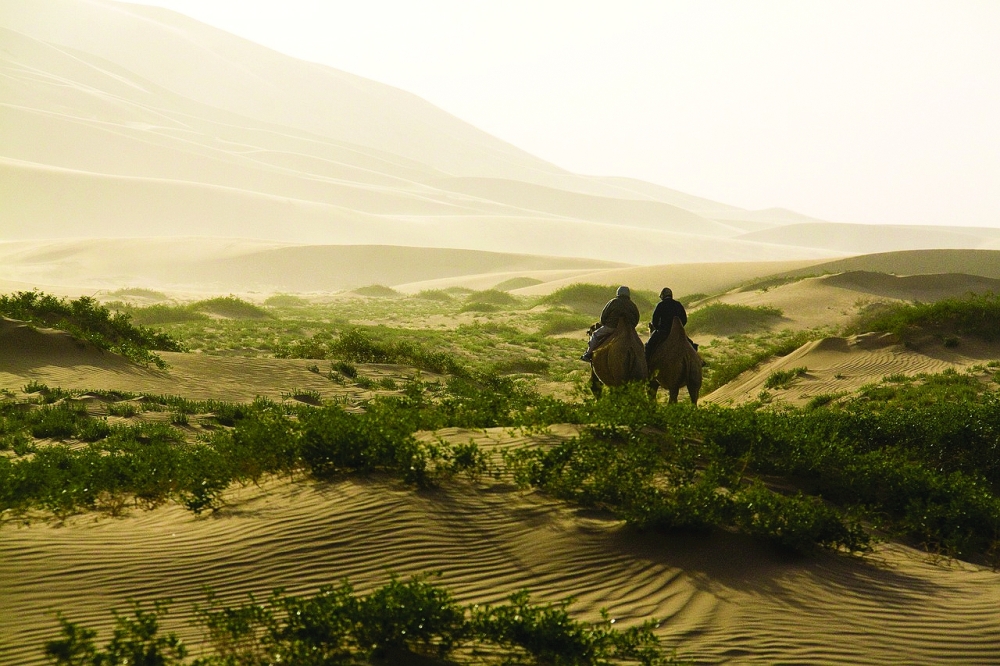 Mongolia's wildlife at risk from overgrazing