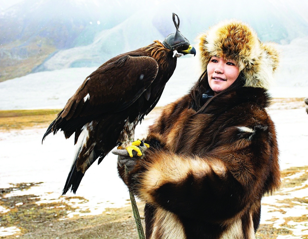 Mongolia's wildlife at risk from overgrazing