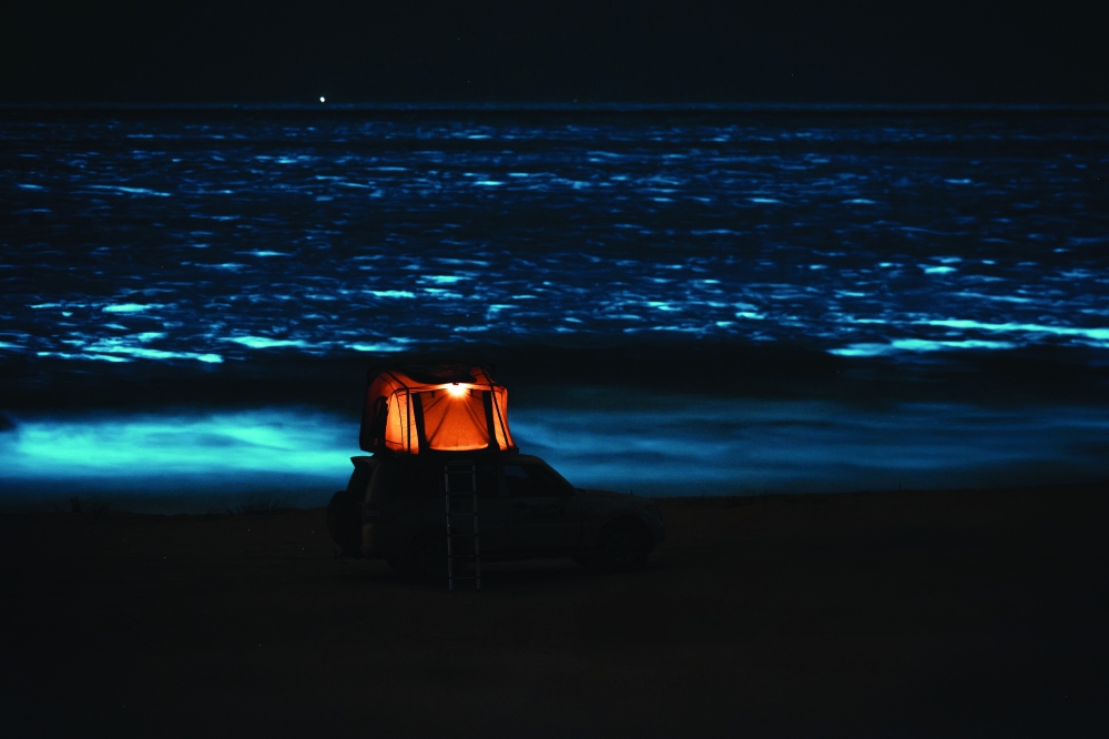 Revolutionizing Independent Travel Across the Sultanate