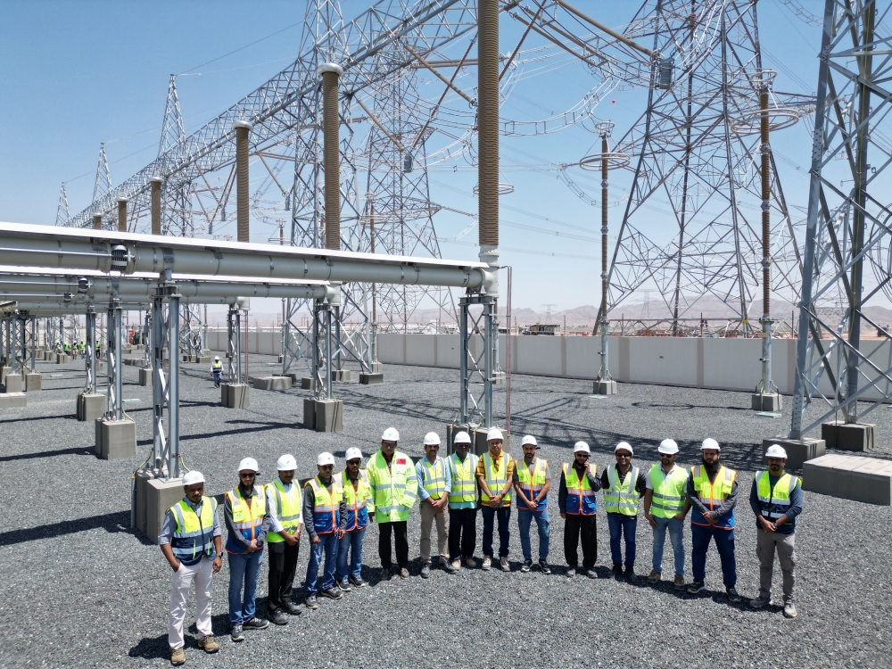 TLS personnel celebrate the successful completion of the Manah grid station.