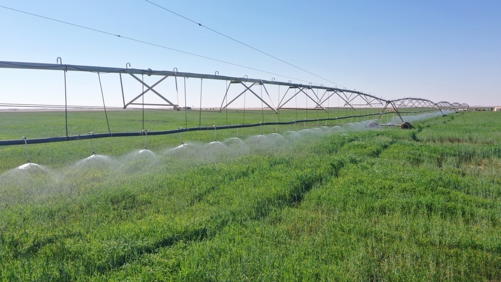 Contractual arrangements with Omani farmers can help boost domestic food production and quality, says Nitaj