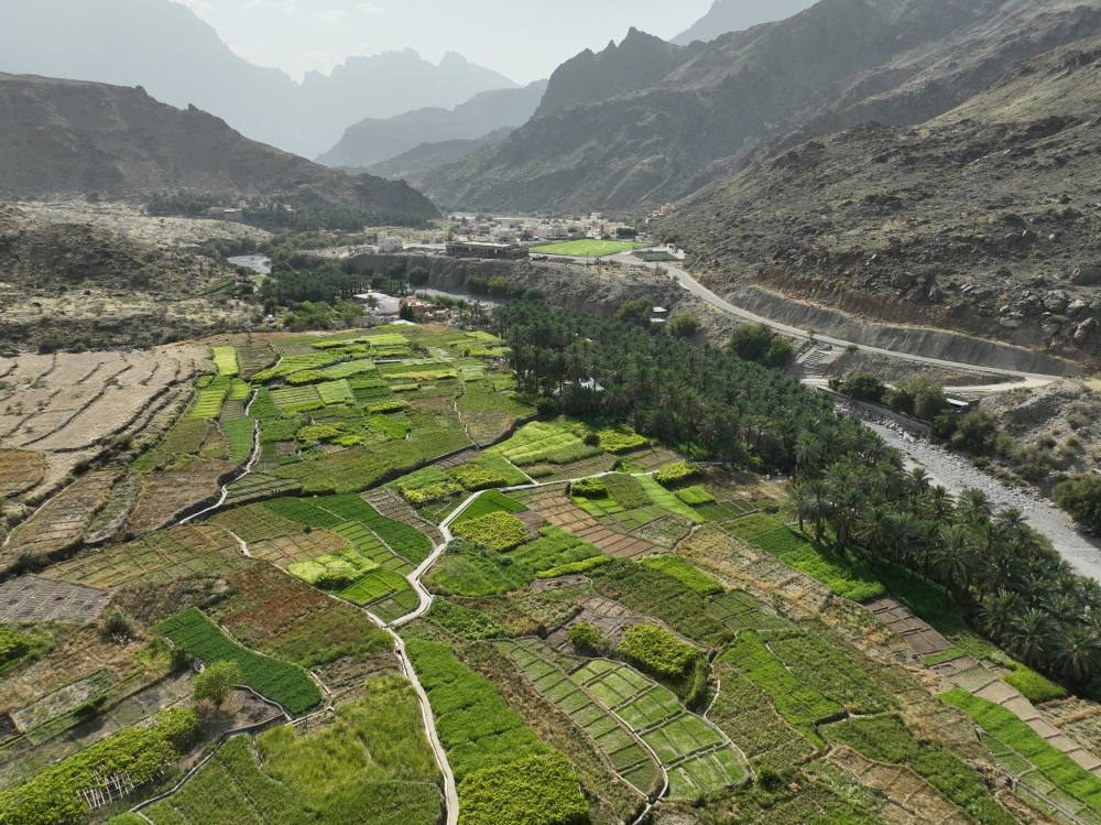 DJI_0635
